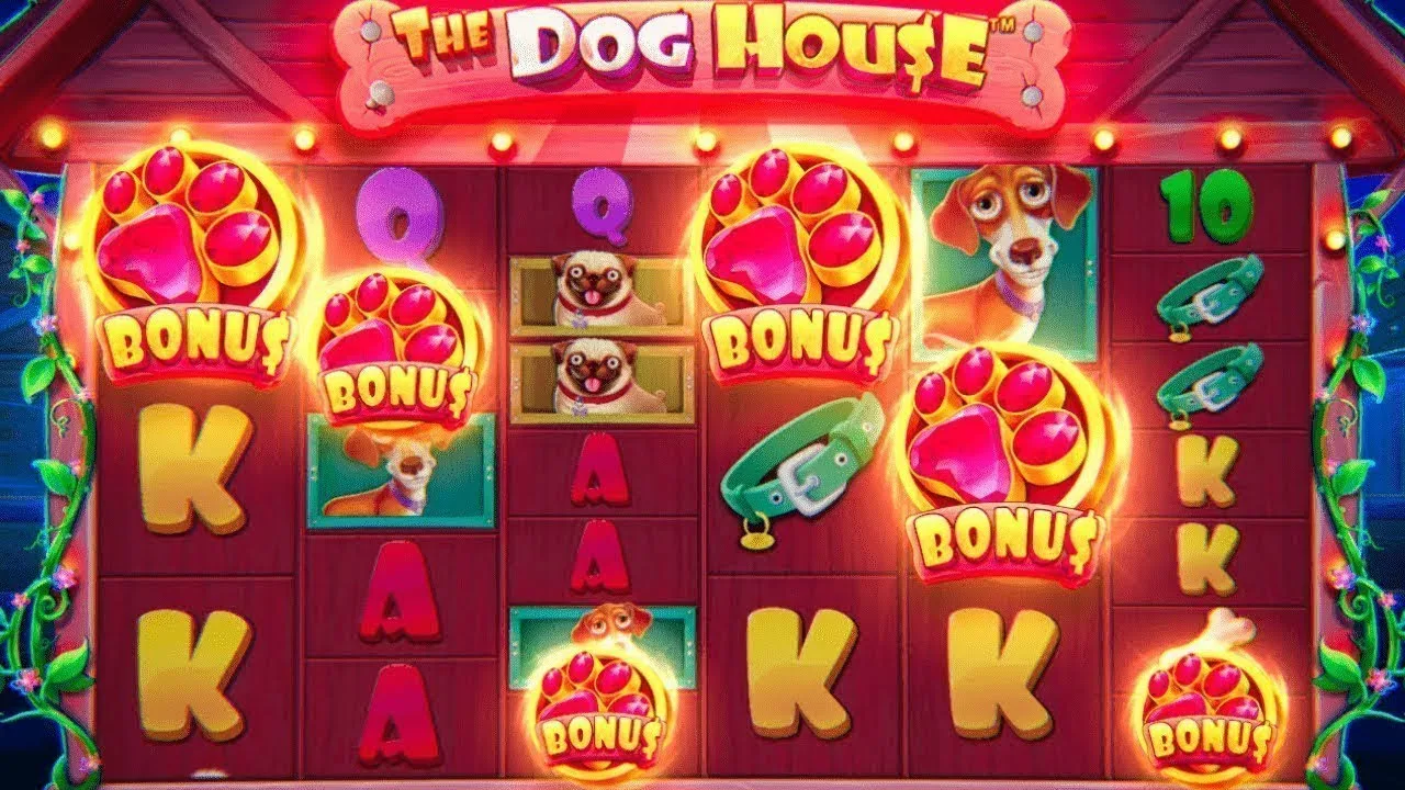 The Dog House